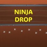 Ninja Drop